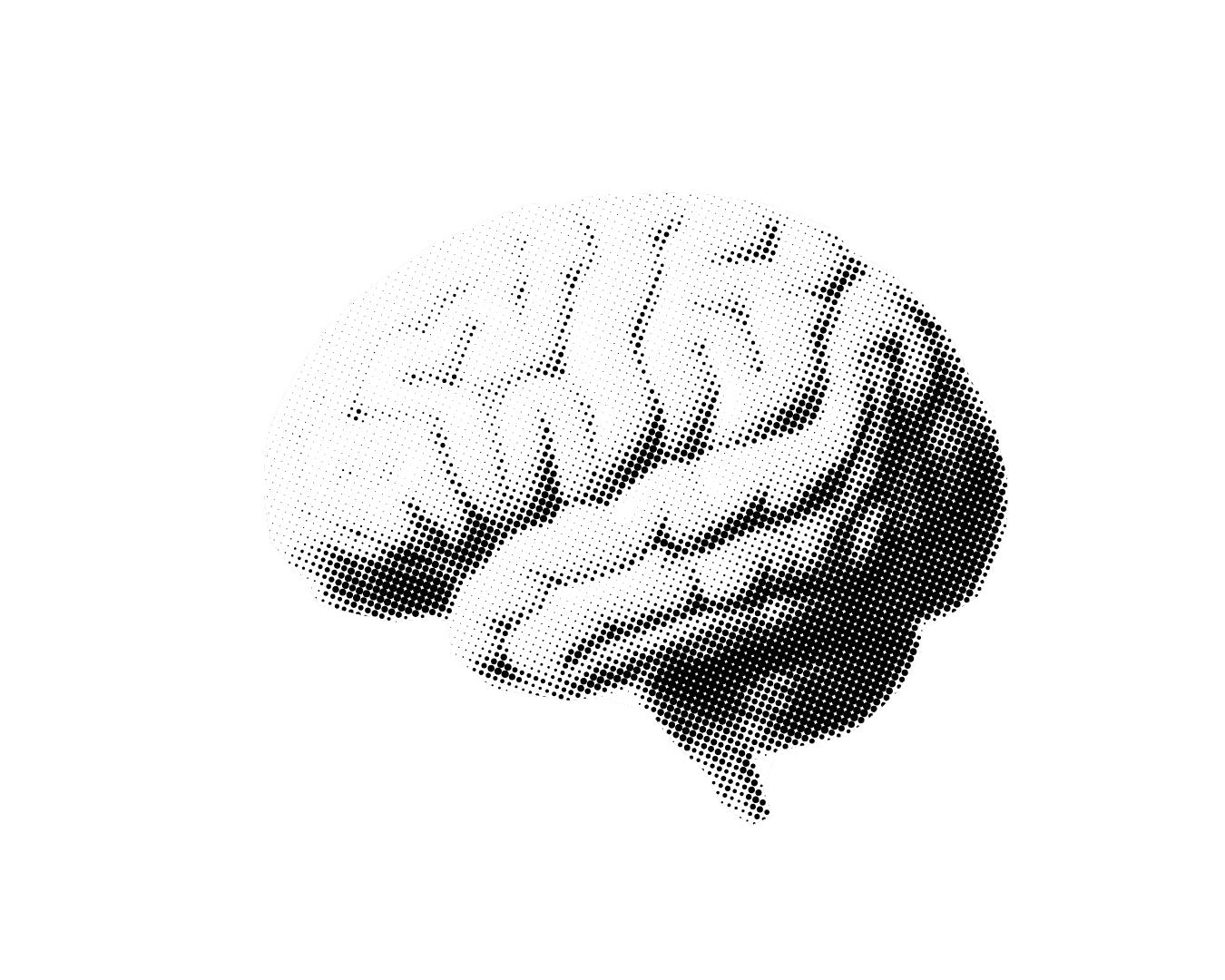 Service/Feature Image